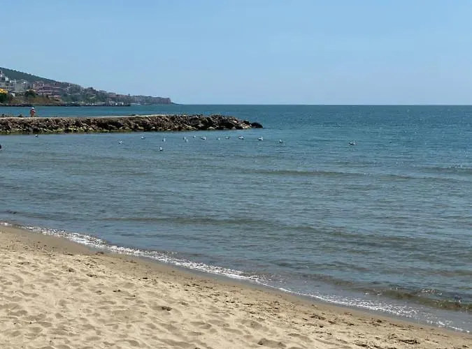 Horizon Gut * Święty Włas